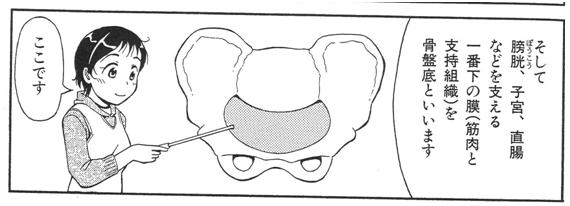 骨盤臓器脱２ 骨盤臓器脱とは何ですか よこすか女性泌尿器科