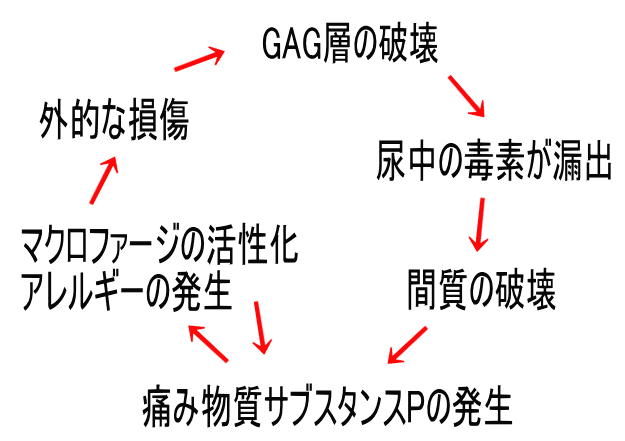 間質性膀胱炎 膀胱痛症候群 あたらしい治療 よこすか女性泌尿器科